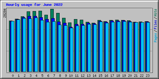 Hourly usage for June 2022